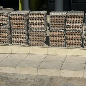 Freshly Laid Table Eggs Small 33g - 43g