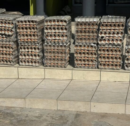Freshly Laid Table Eggs Small 33g - 43g