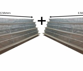 720 Bird Egg Laying Cage