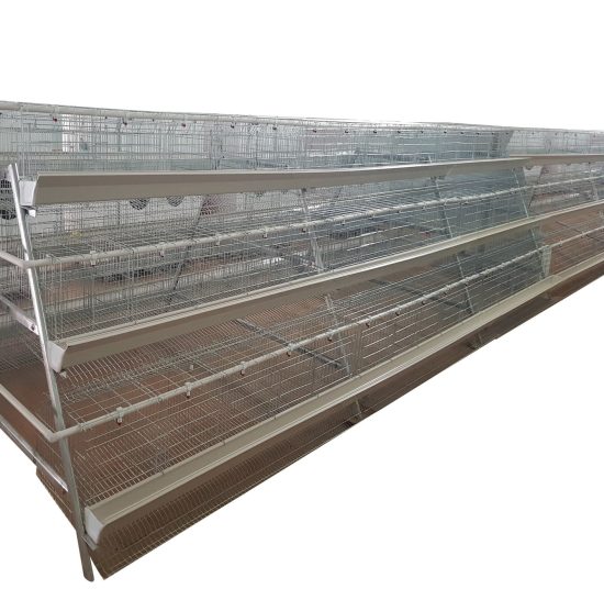 720 Bird Egg Laying Cage