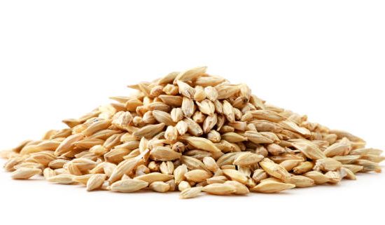 Barley Seeds 25kg