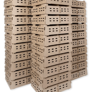 Day Old Chick Transport Box (Carton)