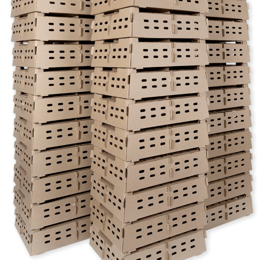 Day Old Chick Transport Box (Carton)
