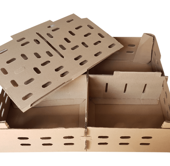 Day Old Chick Transport Box (Carton)