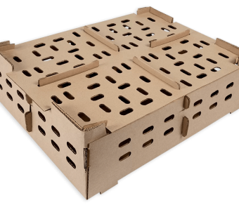 Day Old Chick Transport Box (Carton)