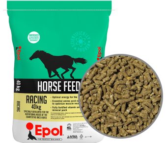 Epol Millard Race Horse Cube 40Kg