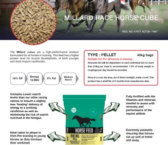 Epol Millard Race Horse Cube 40Kg