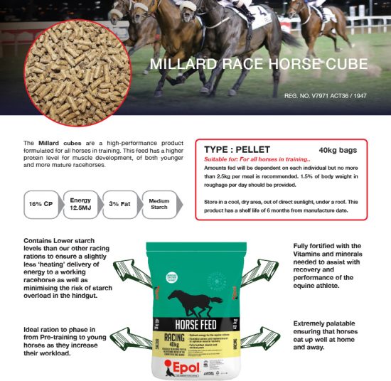 Epol Millard Race Horse Cube 40Kg