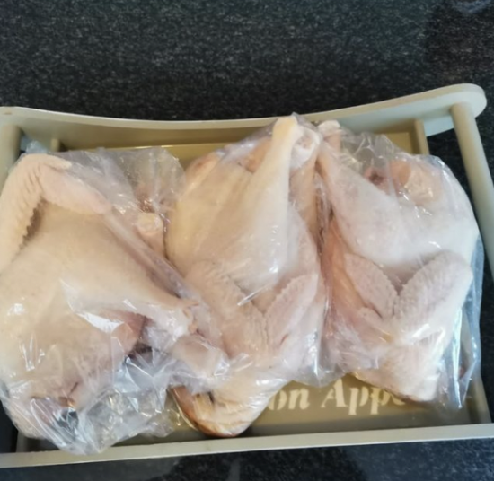 Slaughtered Hardbody Chickens