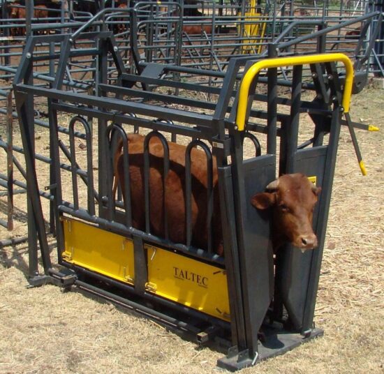Cattle Neck Clamp (Brahman)