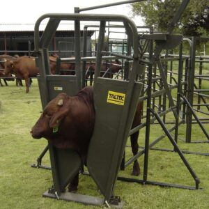 Cattle Neck Clamp (Brahman)