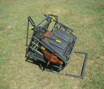 Calf and Tollie Tilt Clamp