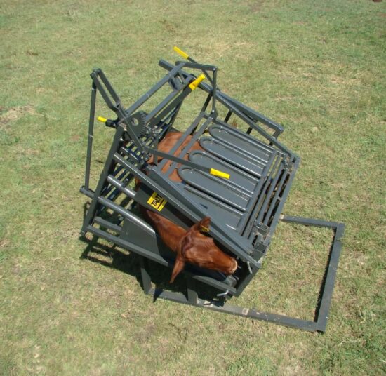 Calf and Tollie Tilt Clamp