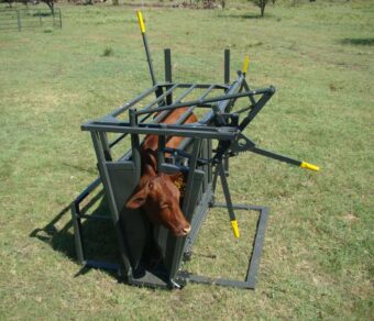 Calf and Tollie Tilt Clamp