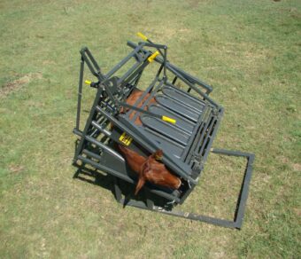 Calf and Tollie Tilt Clamp