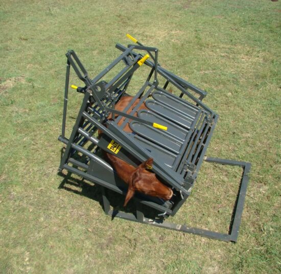 Calf and Tollie Tilt Clamp