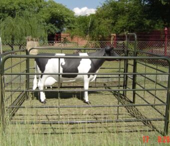 Cattle Kraal Side