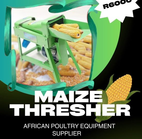 Maize Thresher