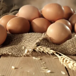 Free Range Freshly Laid Eggs (L)