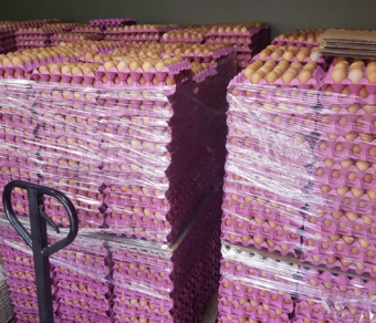 Free Range Freshly Laid Eggs (L)