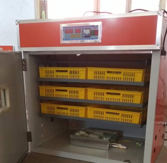 FRD-528 Incubator & Hatcher