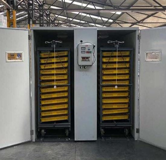 FRD-8448 Incubator & Hatcher