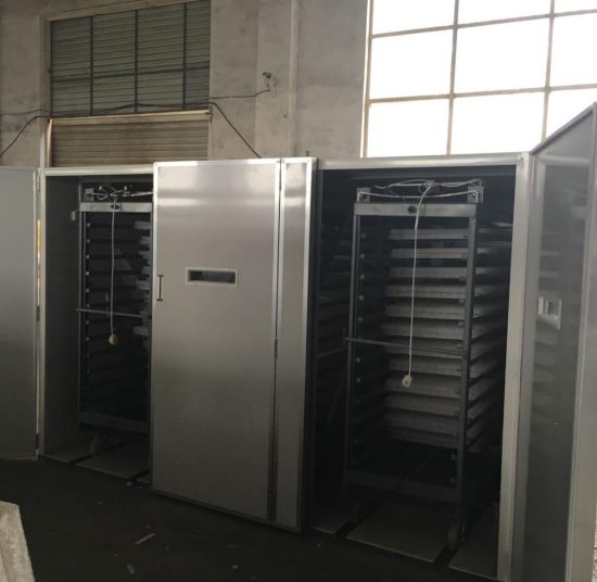 FRD-12672 Incubator
