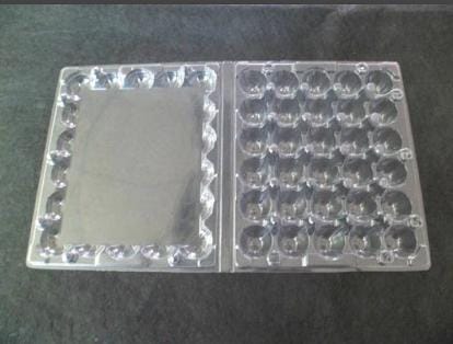 Quail Egg Tray