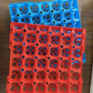Chicken Egg Tray (30 Eggs)