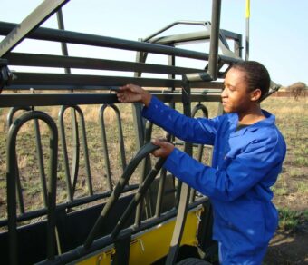 Mobile Neck and Body Clamp
