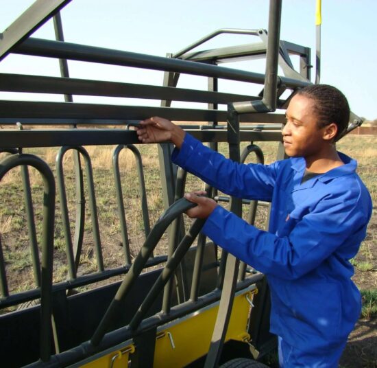 Mobile Neck and Body Clamp