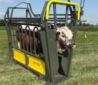 Neck and Body Clamp (Feed lot)