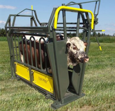 Neck and Body Clamp (Feed lot)