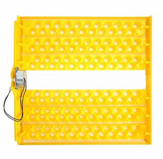 132 Quail Egg Tray and 48 Egg Incubator Combo
