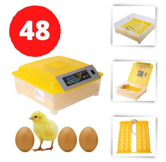 132 Quail Egg Tray and 48 Egg Incubator Combo